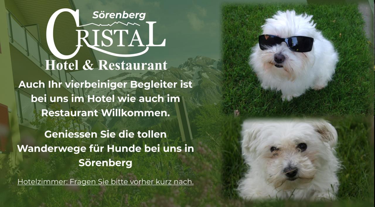 Hotel Cristal Soerenberg Sörenberg Exteriér fotografie